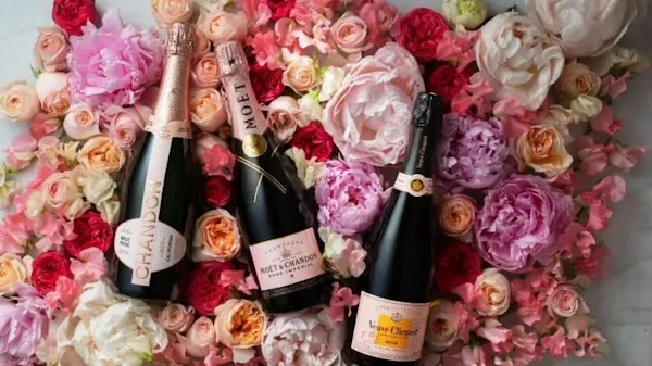 flower, petal, pink, bottle, cut flowers, garden roses