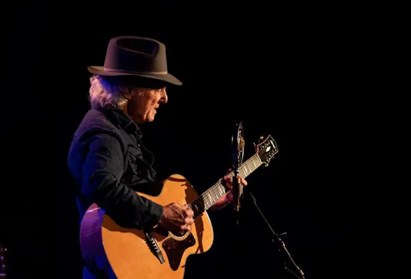 musical instrument, plucked string instrument, string instrument, performing arts, hat, chordophone