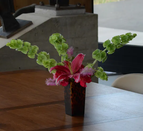 flower, floristry, flower arranging, petal, flower bouquet, cut flowers