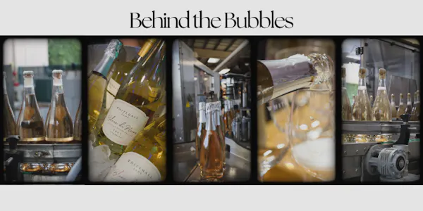 bottle, glass bottle, alcoholic drink, glass, wine bottle, liquor
