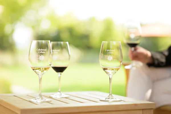 tableware, stemware, drinkware, photograph, wine glass, plant