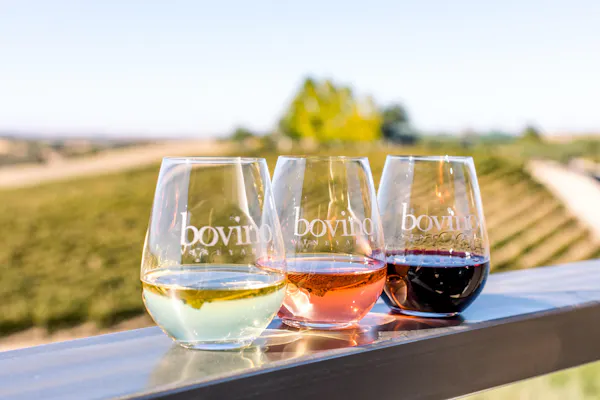 tableware, drinkware, sky, stemware, water, window