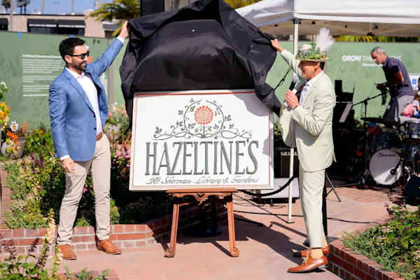 hat, sun hat, suit, fedora, necktie, umbrella