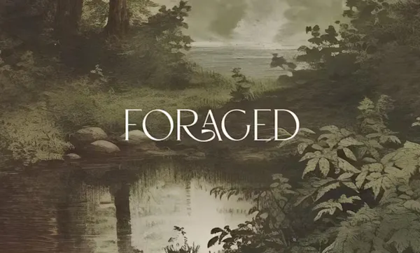 forest, jungle, wetland, bayou, swamp