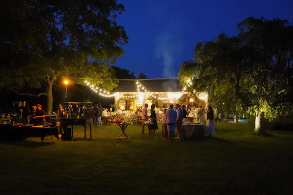 tree, night, event, recreation, leisure, midnight