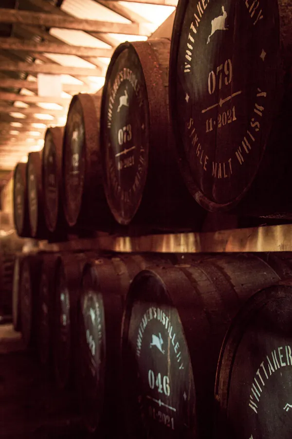barrel, winery, hardwood, wine cellar