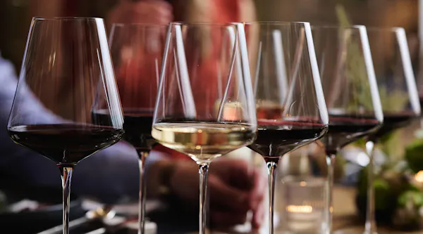 alcoholic drink, alcohol, stemware, tableware, barware, drinkware