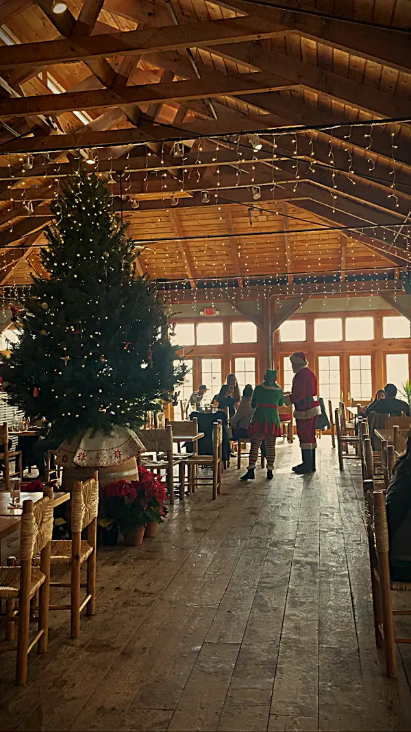 furniture, restaurant, winter, chair