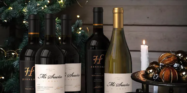 bottle, alcoholic drink, glass bottle, wine bottle, wine, liquor
