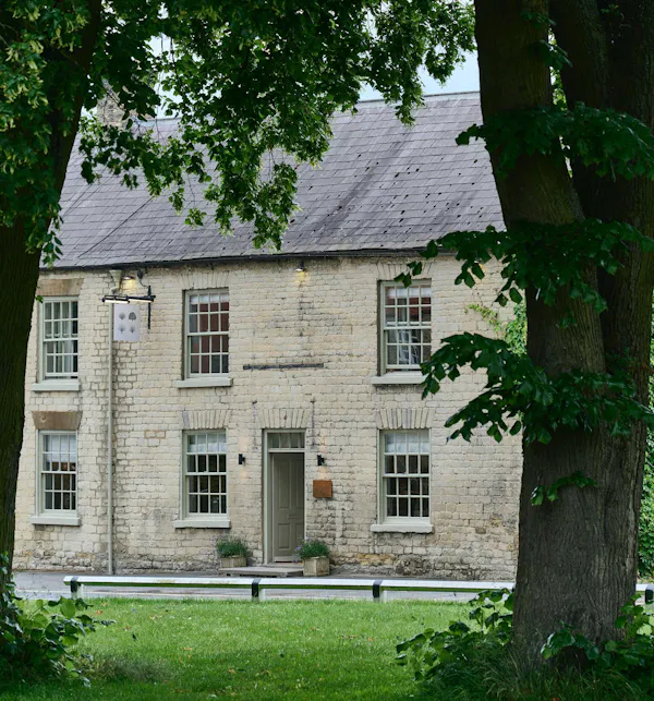 window, building, plant, tree, land lot, house