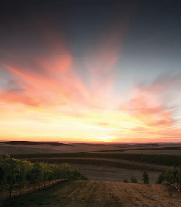 afterglow, sunset, horizon, dusk, cloud, orange