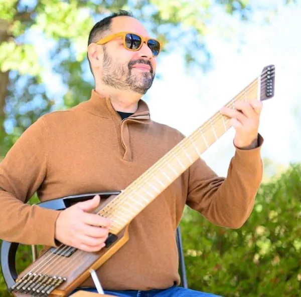 musical instrument, string instrument, chordophone, plucked string instrument, guitarist, guitar