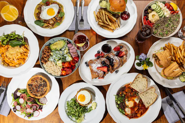 food, tableware, ingredient, dishware, plate, vegetable
