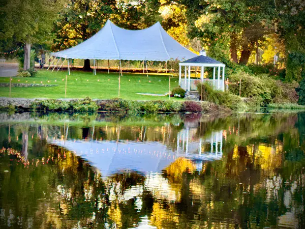 furniture, garden, chair, tablecloth, park, pond