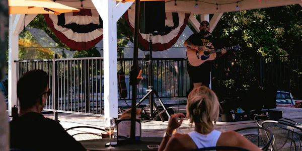 musical instrument, musician, music, entertainment, performance, performing arts
