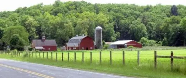 tree, rural area, grassland, land lot, pasture, plain
