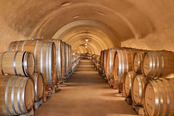 barrel, winery, wine cellar, inventory, brewery, hardwood