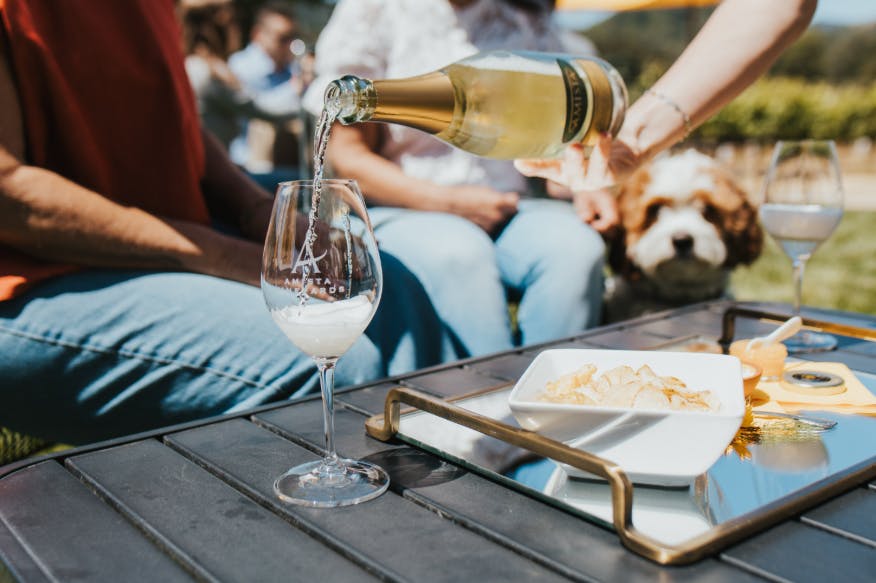 Amista Vineyards