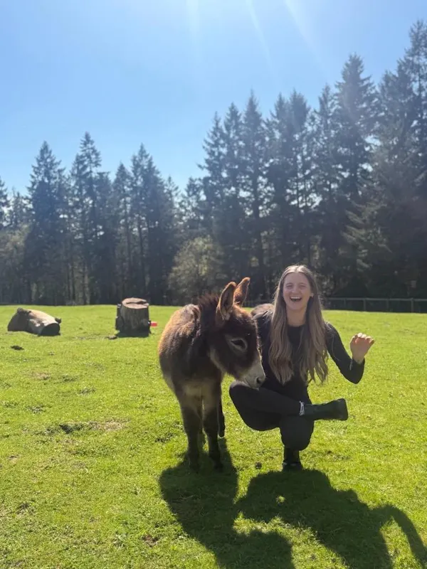 meadow, pasture, people in nature, happiness, pack animal, livestock