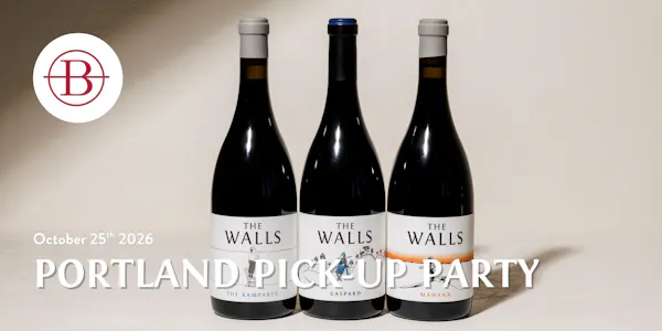 alcoholic drink, wine, alcohol, glass bottle, bottle, barware