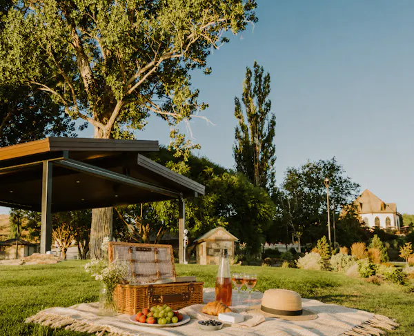 shade, land lot, garden, trunk, spring, leisure