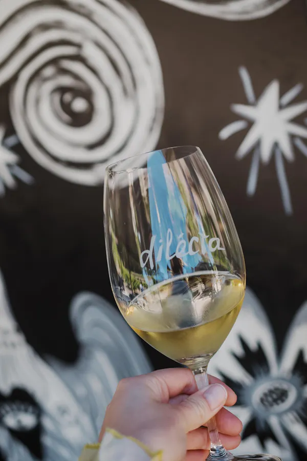 stemware, tableware, alcoholic drink, drinkware, barware, wine glass