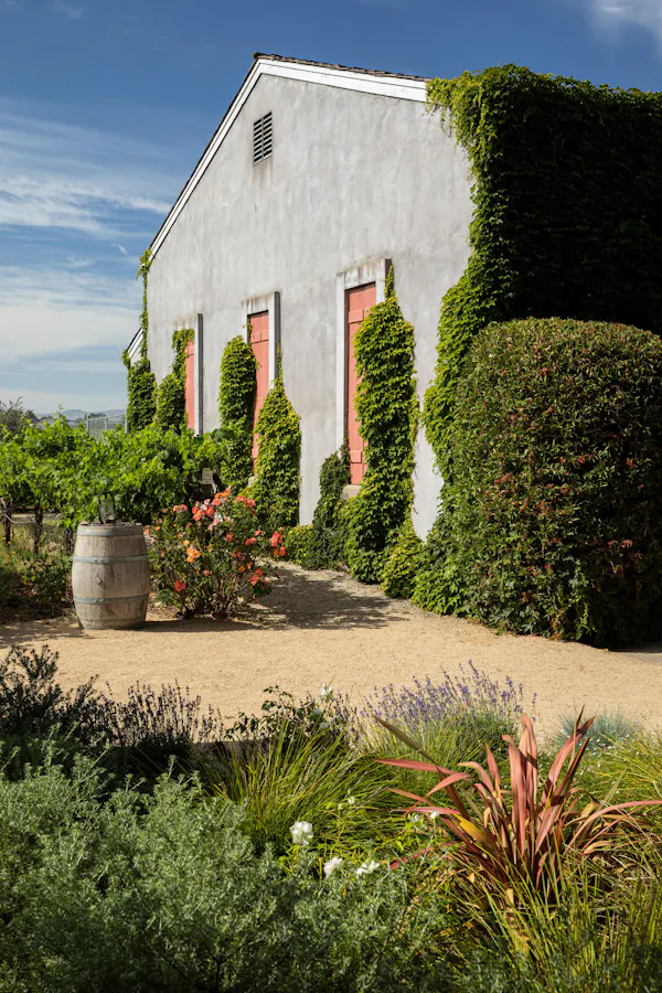 house, property, vegetation, grass, sky, natural landscape