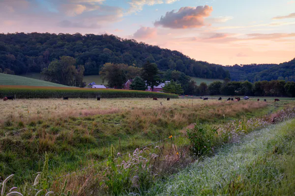 grass, natural landscape, grassland, hill, ecoregion, plain