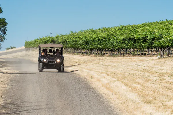 dirt road, soil, tread, fender, agriculture, field