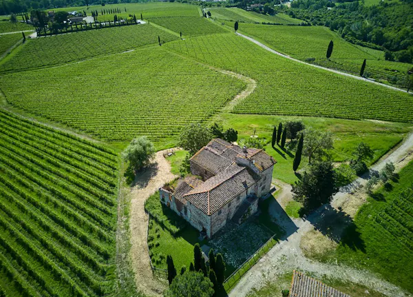 agriculture, plantation, field, rural area, plain, land lot