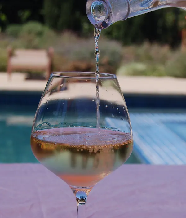 stemware, tableware, drinkware, alcoholic drink, wine glass, barware