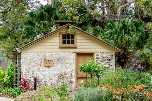 plant, flower, window, property, plant community, building
