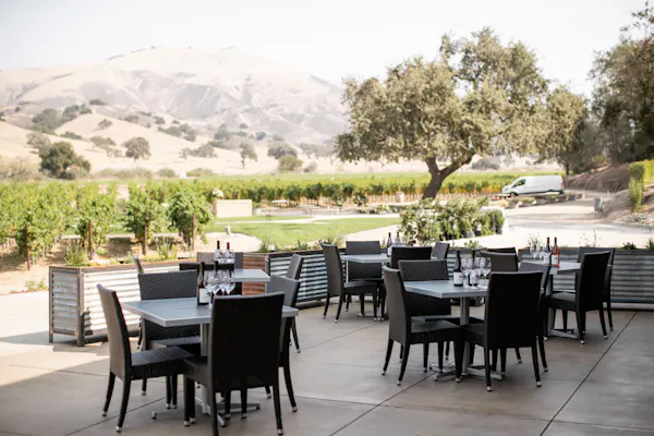 plant, furniture, table, chair, outdoor table, outdoor furniture