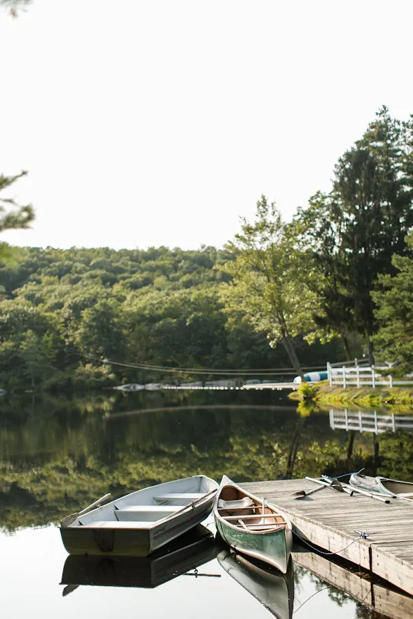 water, water transportation, nature, lake, tree, water resources