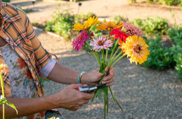 flower, petal, yellow, floristry, cut flowers, flower bouquet