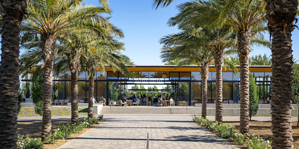 shade, palm trees, eco hotel, landscaping, design, walkway