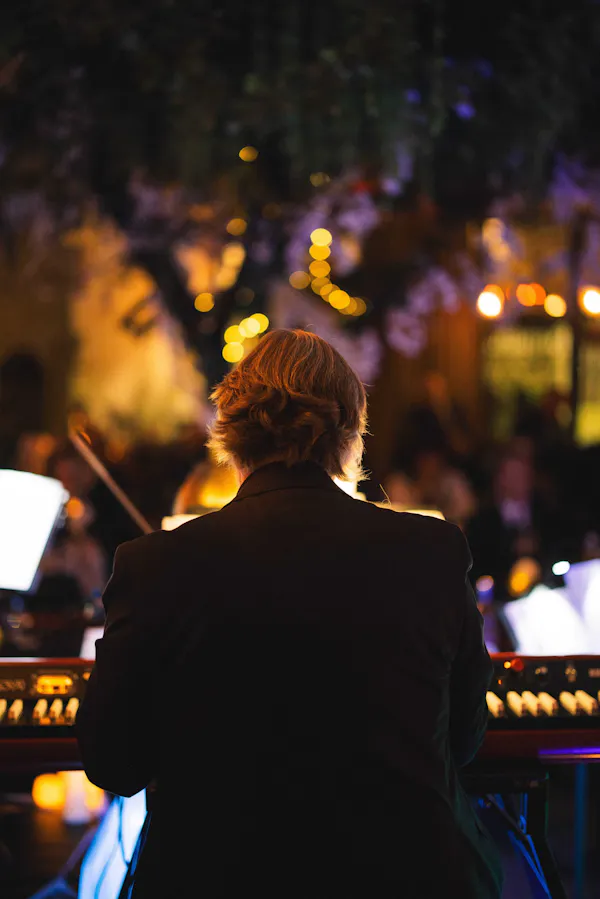 entertainment, performing arts, event, performance, lighting, musician
