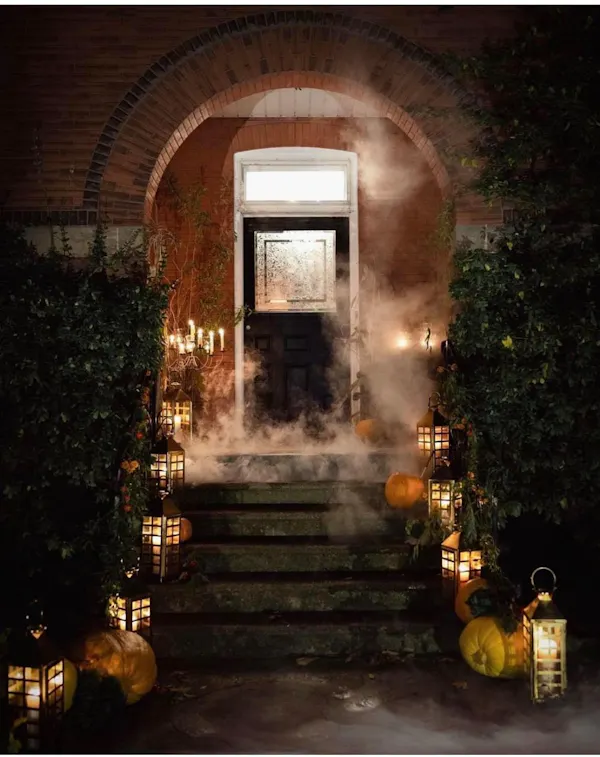 plant, door, stairs, brick, brickwork, sky