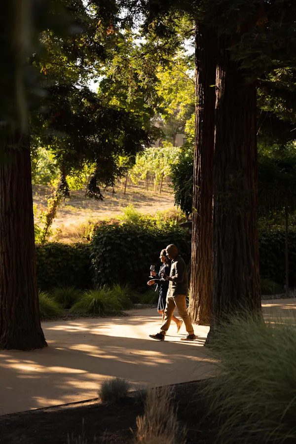 leaf, branch, recreation, trunk, shade, people in nature