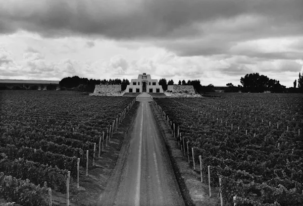 monochrome photography, monochrome, black and white, agriculture, field, plantation