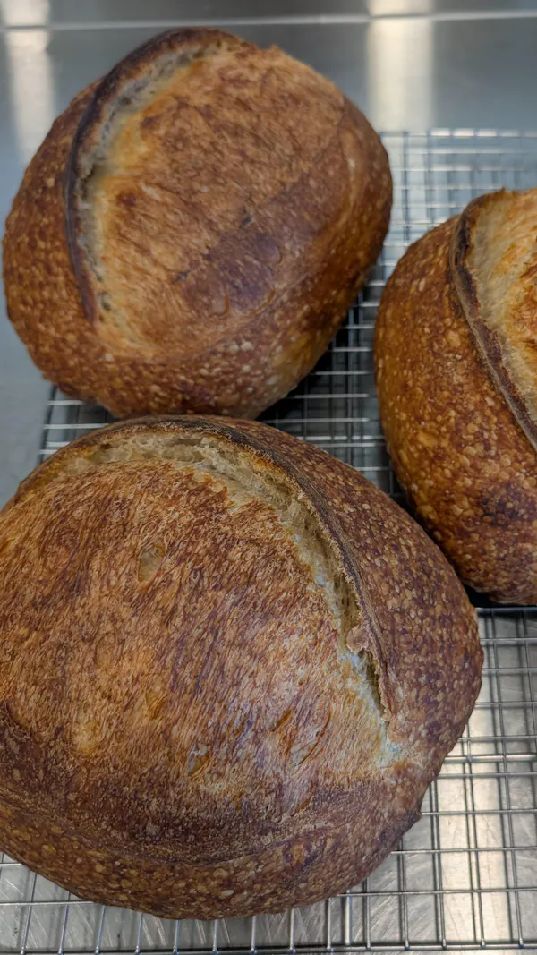 food, bread, ingredient, sourdough, baking, gluten