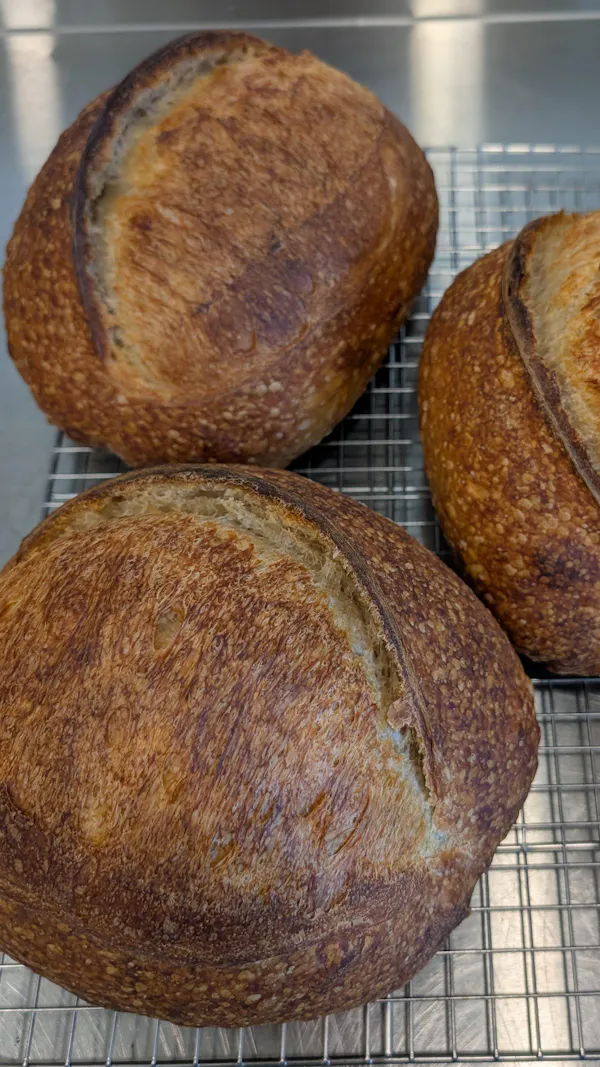 food, bread, ingredient, sourdough, baking, gluten