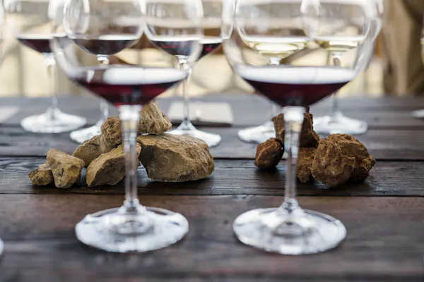 stemware, tableware, drinkware, wine glass, barware, serveware