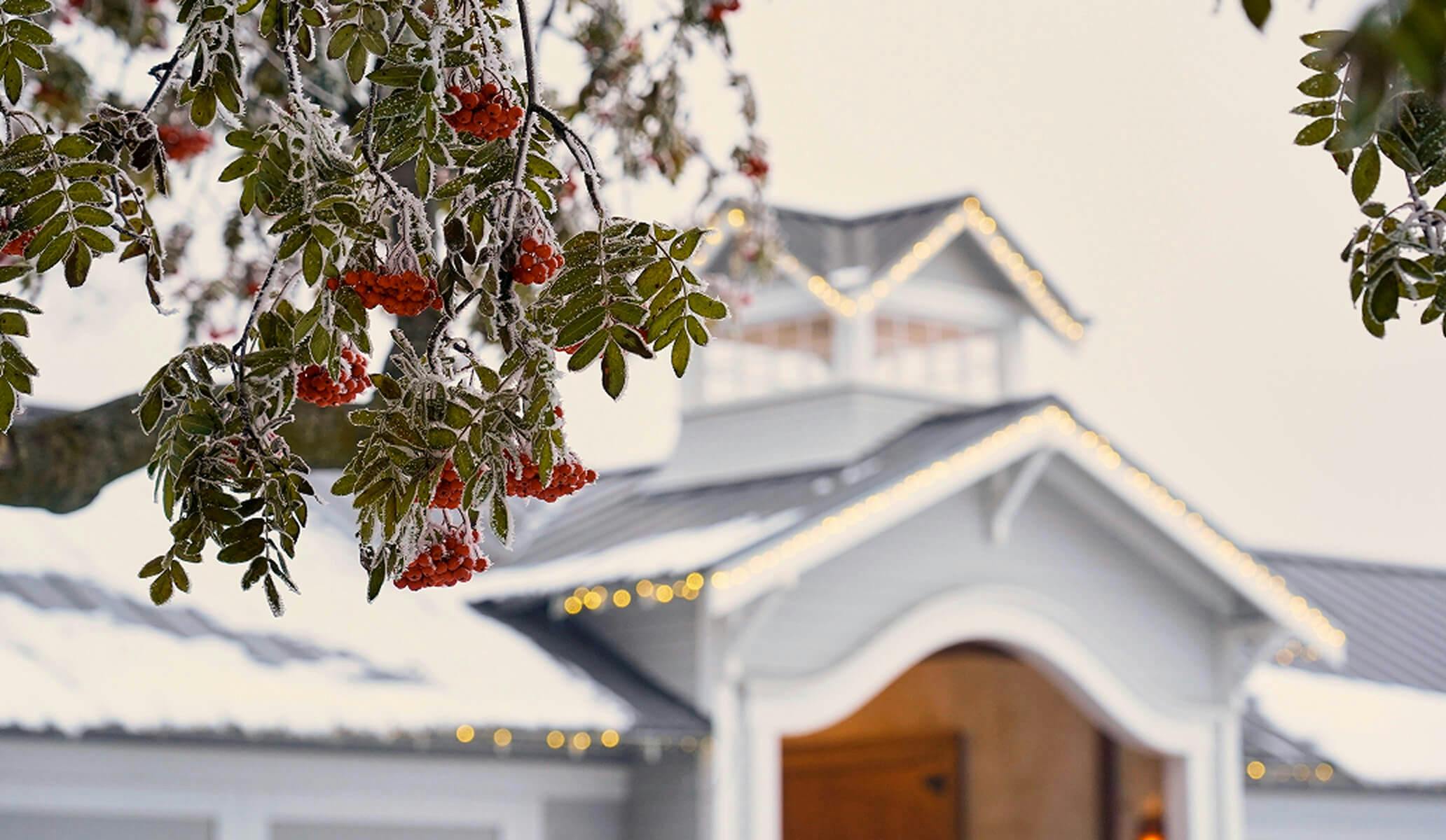 Holiday Barrel Weekend - Abeja Winery • Walla Walla, WA experience photo