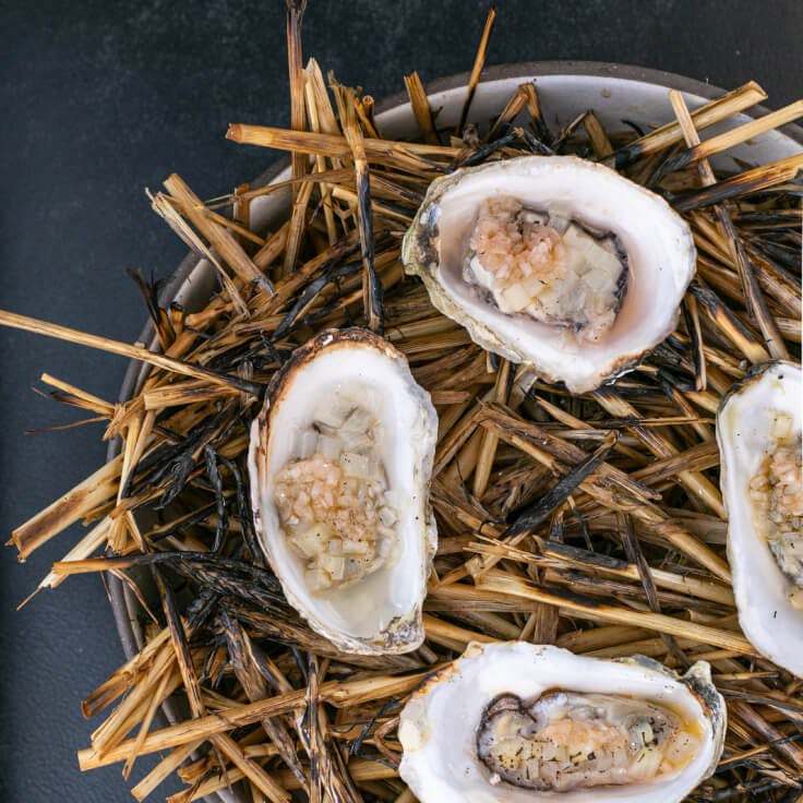 Electric Lemon - beautifully plated dish with raw oysters on top of smoked hay
