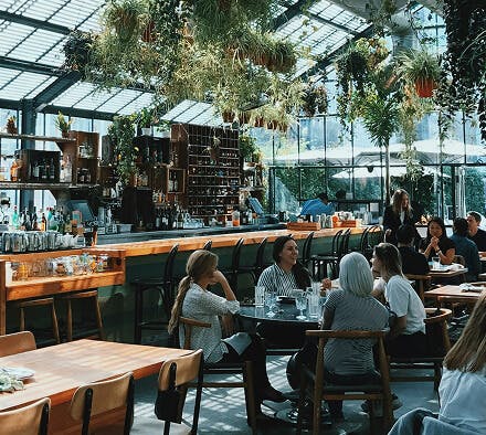 luxury hotel interior of bar with hanging plants and seating