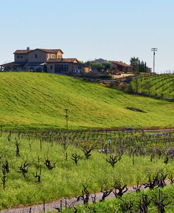 Ridge Vineyards - Healdsburg, CA - winery vineyard landscape